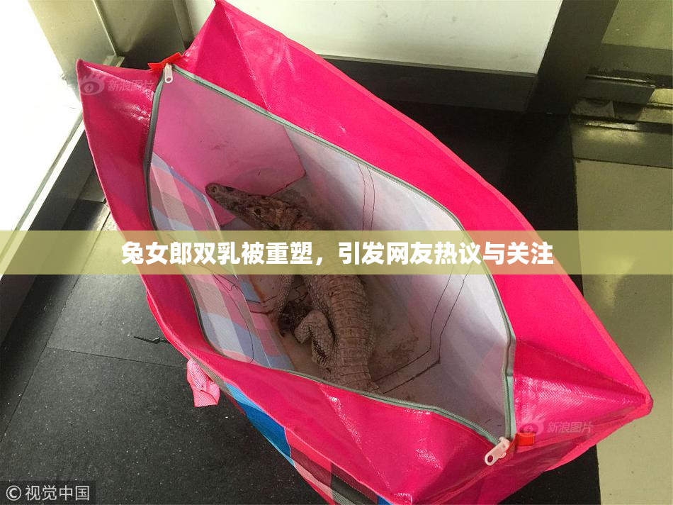 兔女郎双乳被重塑，引发网友热议与关注