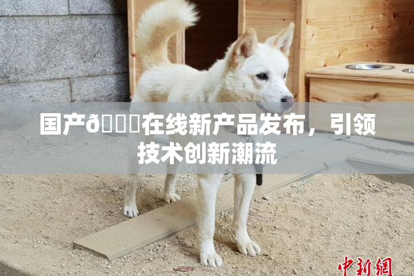 国产🔞在线新产品发布，引领技术创新潮流
