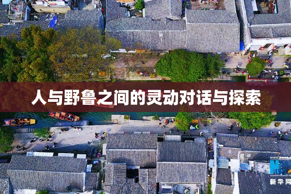 人与野鲁之间的灵动对话与探索