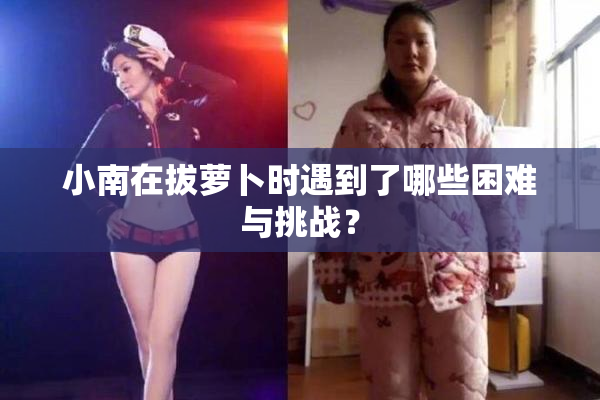 小南在拔萝卜时遇到了哪些困难与挑战？