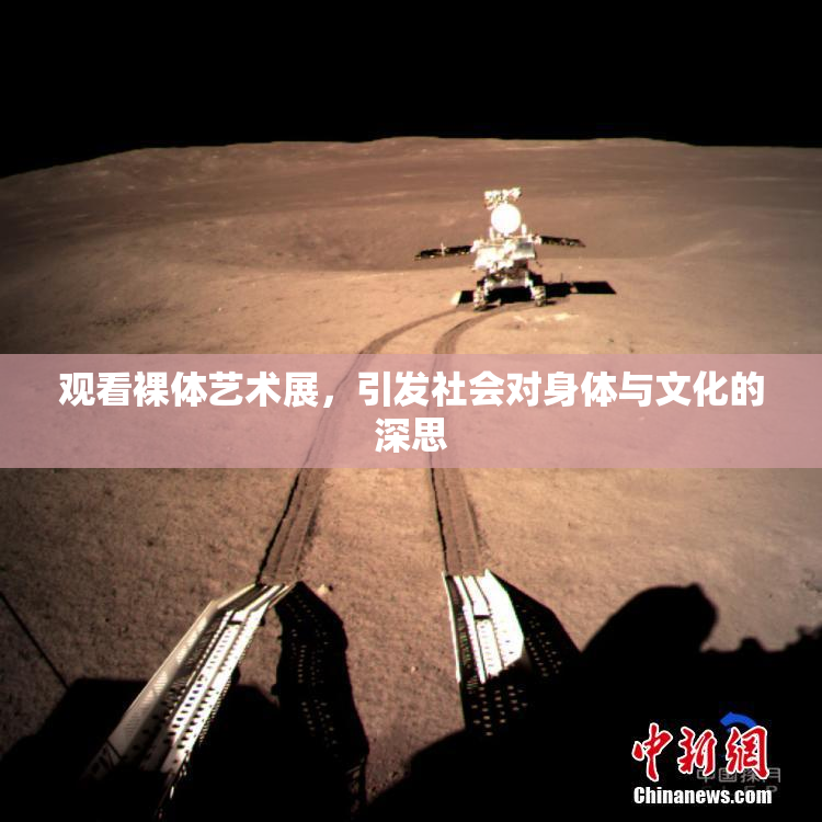 观看裸体艺术展，引发社会对身体与文化的深思