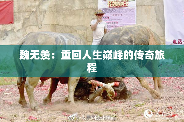 魏无羡：重回人生巅峰的传奇旅程