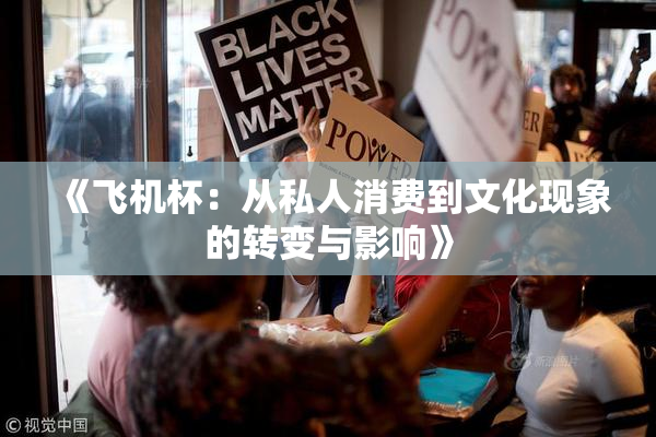 《飞机杯：从私人消费到文化现象的转变与影响》