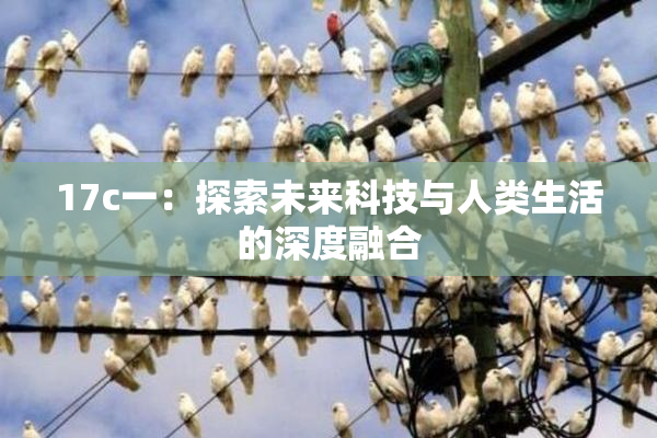 17c一：探索未来科技与人类生活的深度融合