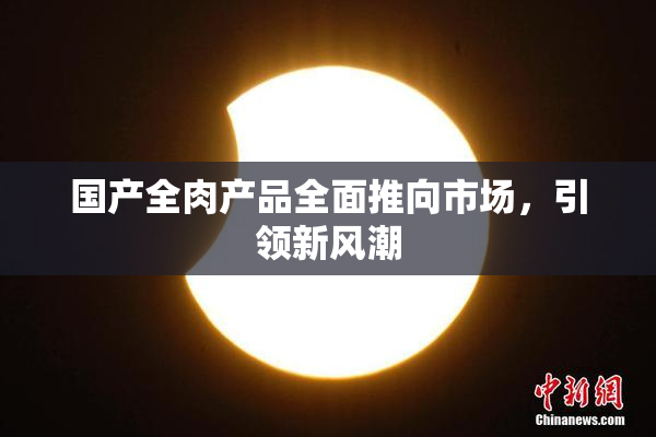 国产全肉产品全面推向市场，引领新风潮