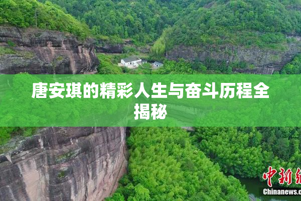 唐安琪的精彩人生与奋斗历程全揭秘