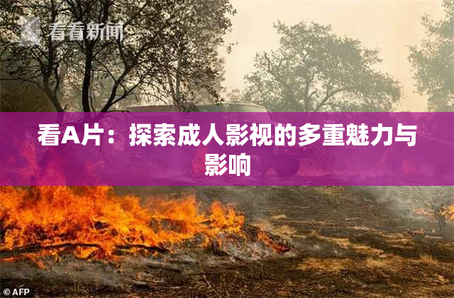 看A片：探索成人影视的多重魅力与影响