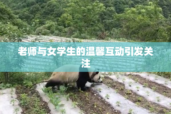 老师与女学生的温馨互动引发关注