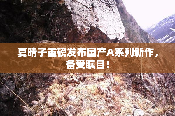 夏晴子重磅发布国产A系列新作，备受瞩目！