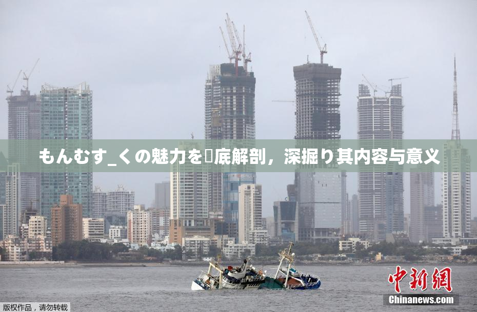 もんむす_くの魅力を徹底解剖，深掘り其内容与意义