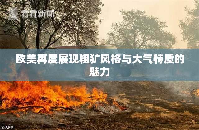 欧美再度展现粗犷风格与大气特质的魅力