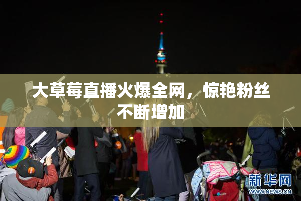 大草莓直播火爆全网，惊艳粉丝不断增加