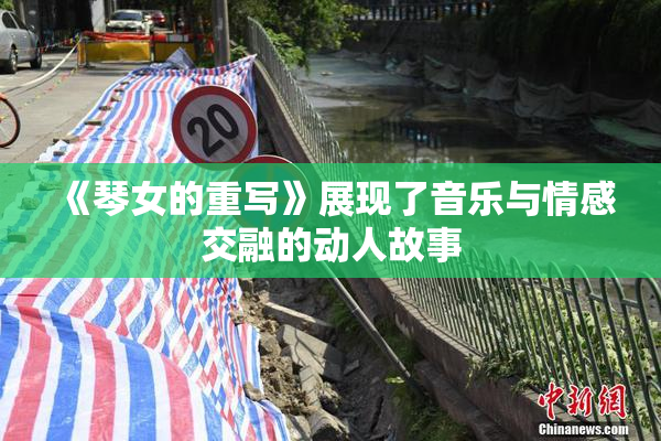 《琴女的重写》展现了音乐与情感交融的动人故事