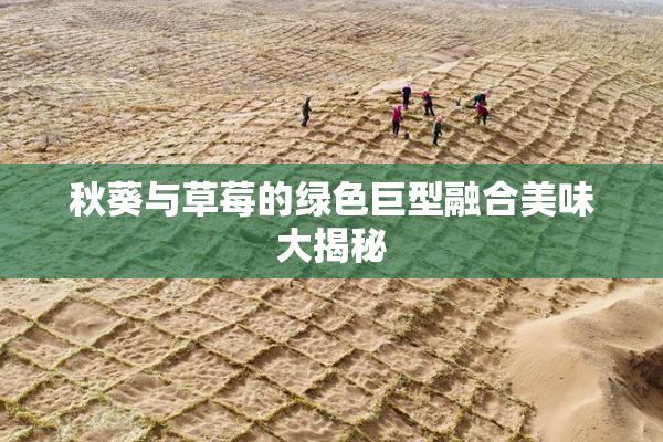秋葵与草莓的绿色巨型融合美味大揭秘