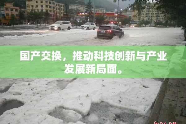 国产交换，推动科技创新与产业发展新局面。