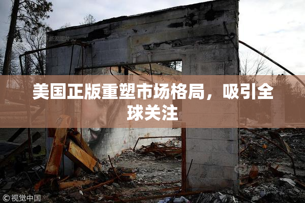 美国正版重塑市场格局，吸引全球关注