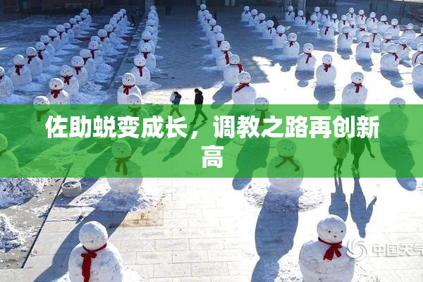 佐助蜕变成长，调教之路再创新高