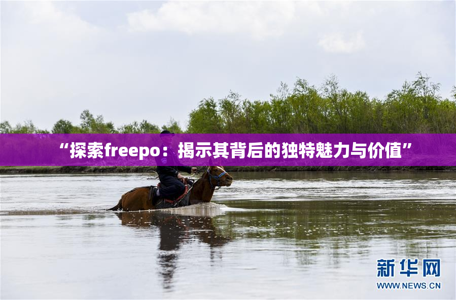 “探索freepo：揭示其背后的独特魅力与价值”