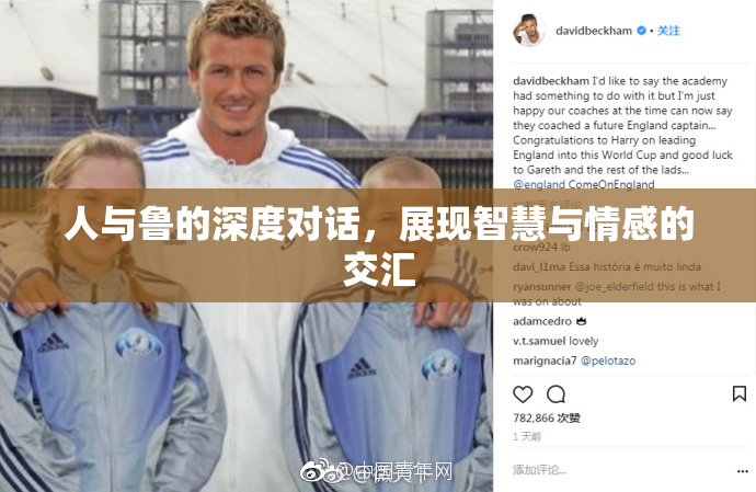 人与鲁的深度对话，展现智慧与情感的交汇