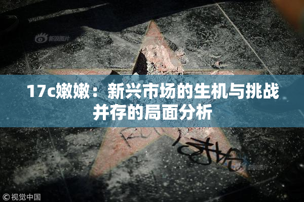 17c嫩嫩：新兴市场的生机与挑战并存的局面分析