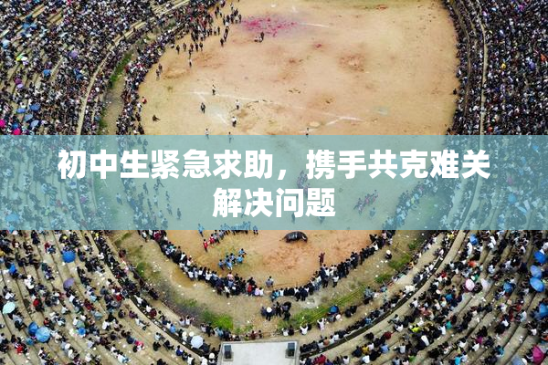 初中生紧急求助，携手共克难关解决问题