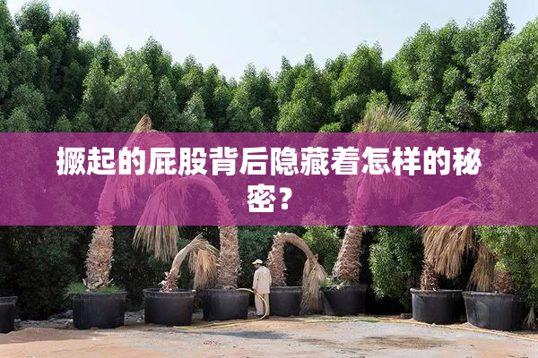 撅起的屁股背后隐藏着怎样的秘密？