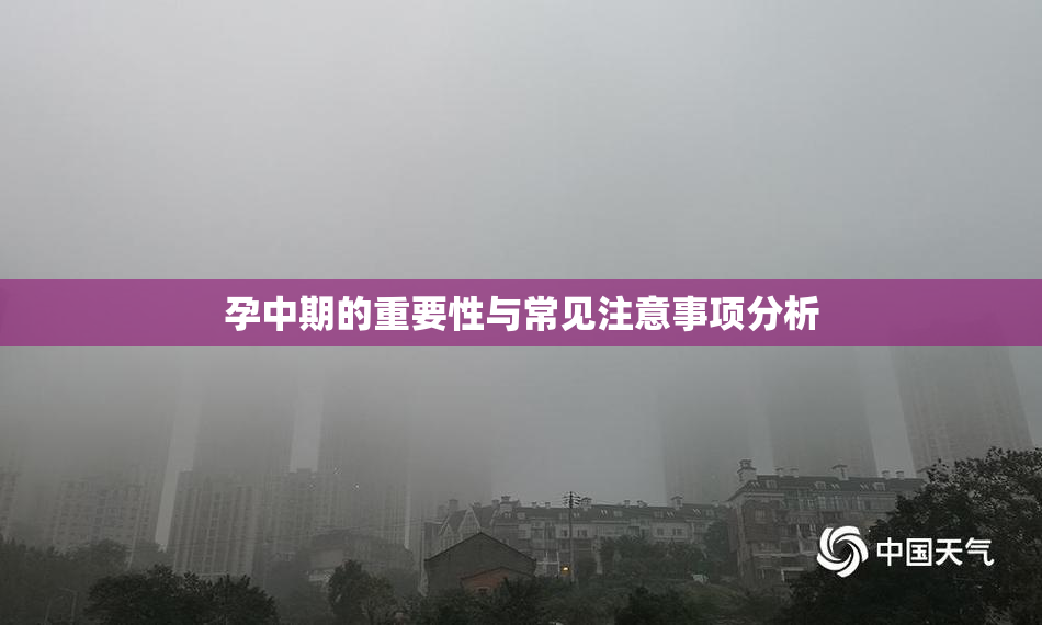 孕中期的重要性与常见注意事项分析