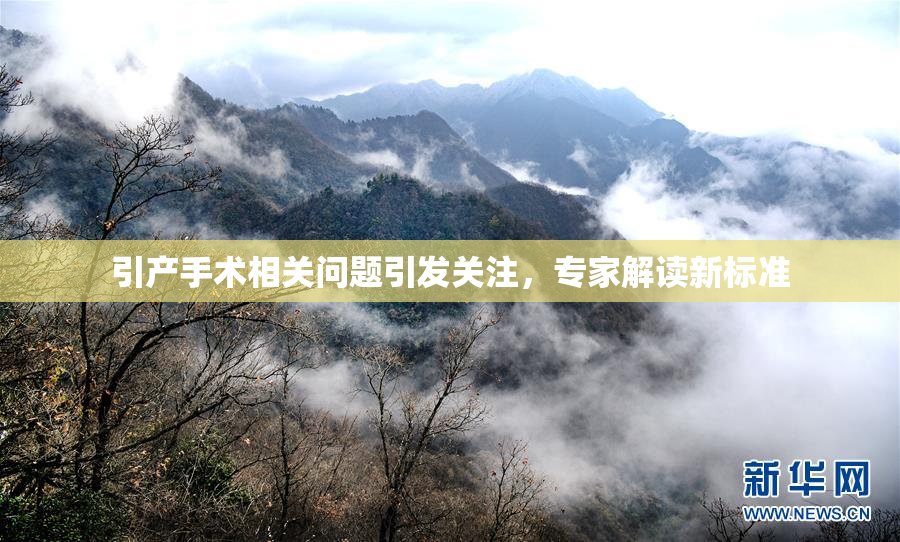 引产手术相关问题引发关注，专家解读新标准