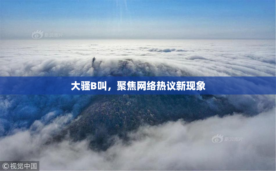 大骚B叫，聚焦网络热议新现象