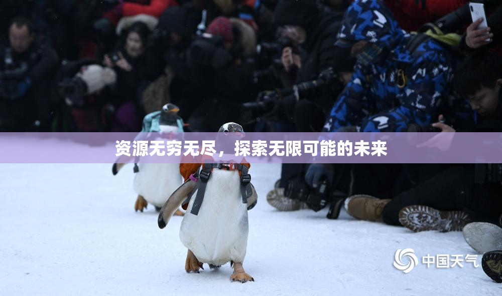 资源无穷无尽，探索无限可能的未来