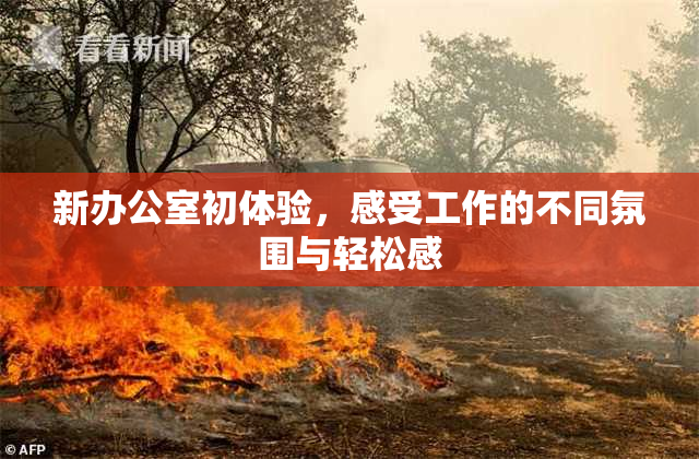 新办公室初体验，感受工作的不同氛围与轻松感