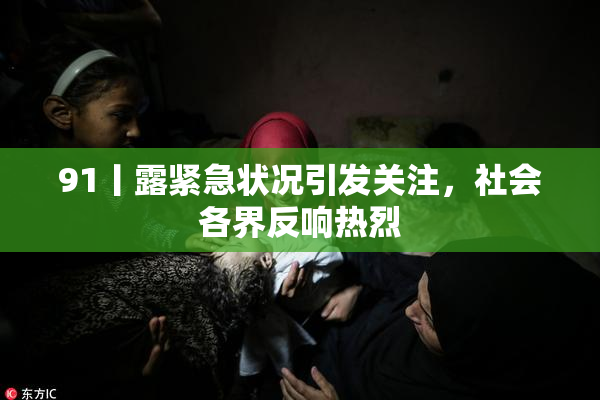 91丨露紧急状况引发关注，社会各界反响热烈