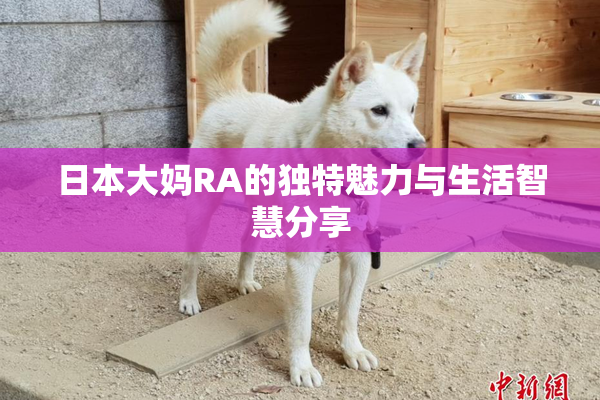 日本大妈RA的独特魅力与生活智慧分享