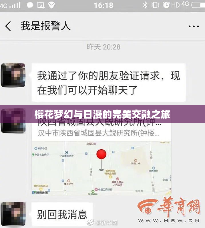 樱花梦幻与日漫的完美交融之旅