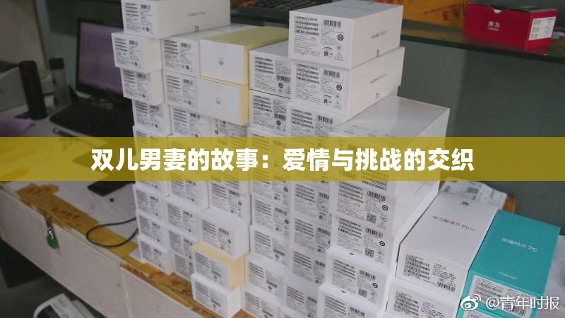 双儿男妻的故事：爱情与挑战的交织