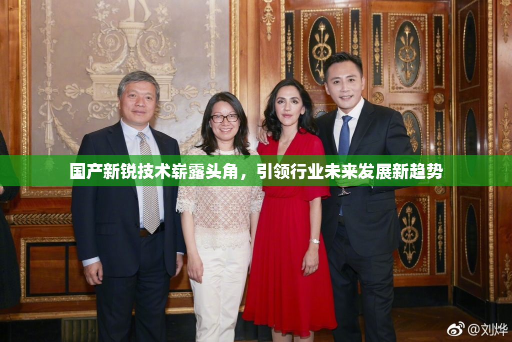 国产新锐技术崭露头角，引领行业未来发展新趋势