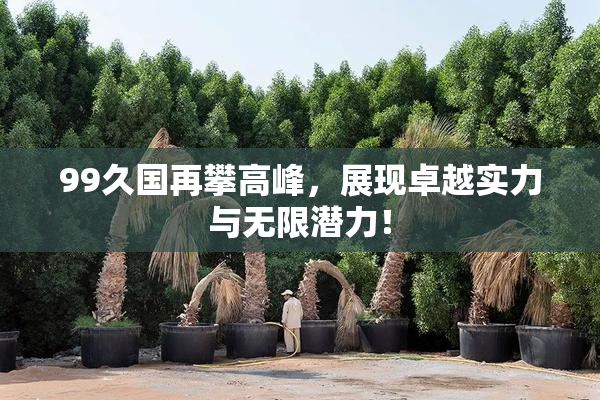 99久国再攀高峰，展现卓越实力与无限潜力！