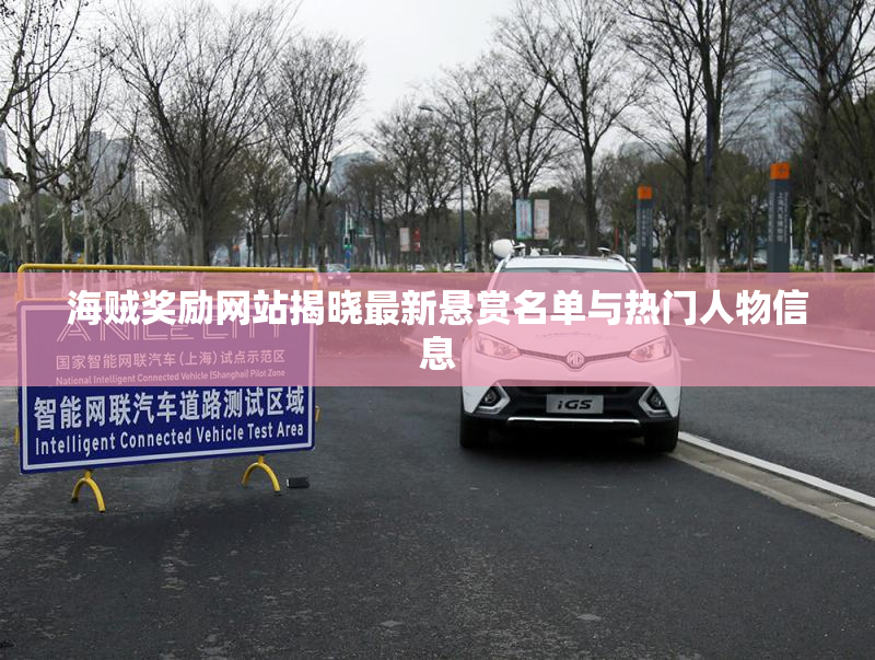 海贼奖励网站揭晓最新悬赏名单与热门人物信息
