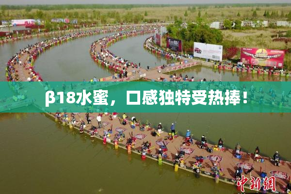 β18水蜜，口感独特受热捧！