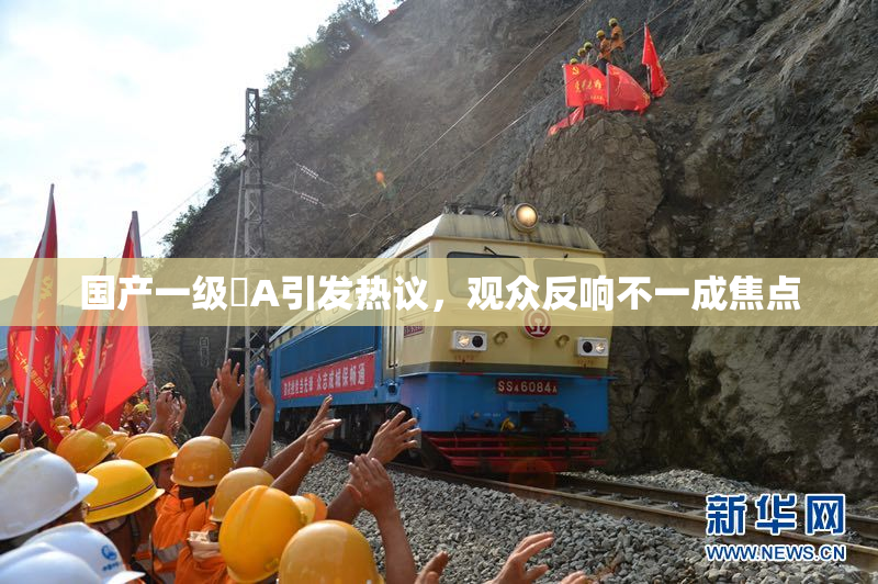 国产一级婬A引发热议，观众反响不一成焦点