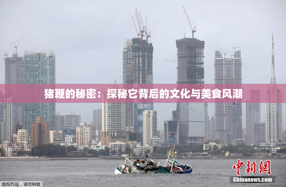 猪鞭的秘密：探秘它背后的文化与美食风潮
