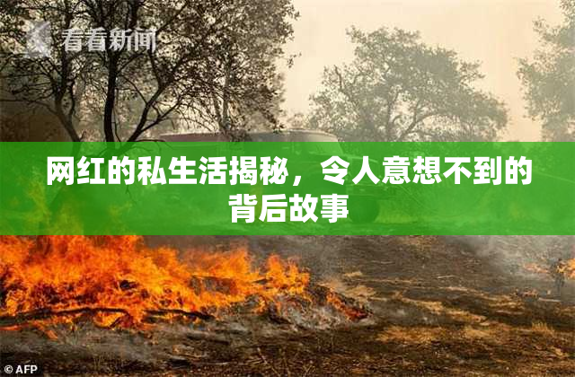 网红的私生活揭秘，令人意想不到的背后故事
