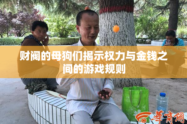 财阀的母狗们揭示权力与金钱之间的游戏规则