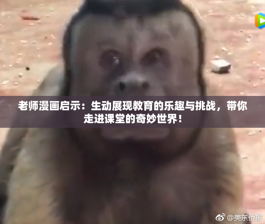 老师漫画启示：生动展现教育的乐趣与挑战，带你走进课堂的奇妙世界！