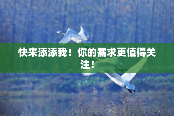 快来添添我！你的需求更值得关注！