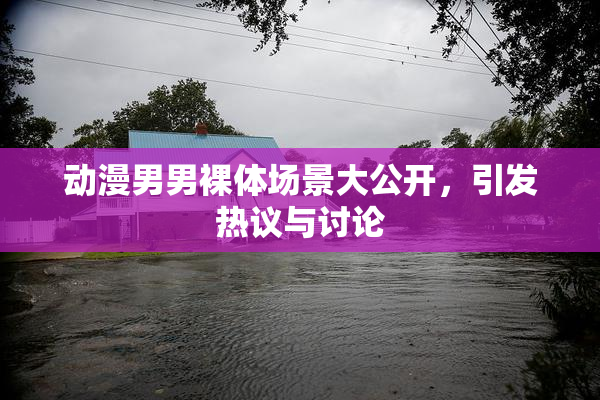 动漫男男裸体场景大公开，引发热议与讨论