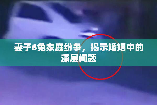 妻子6免家庭纷争，揭示婚姻中的深层问题