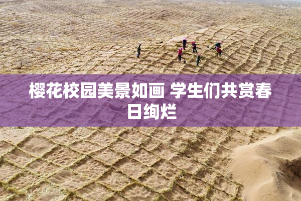 樱花校园美景如画 学生们共赏春日绚烂