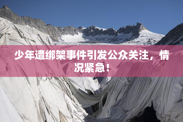 少年遭绑架事件引发公众关注，情况紧急！