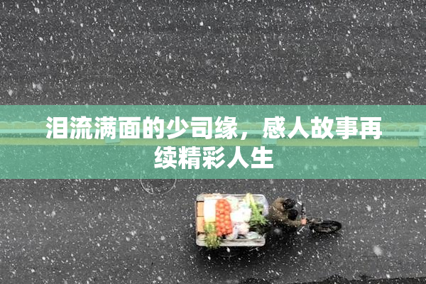 泪流满面的少司缘，感人故事再续精彩人生